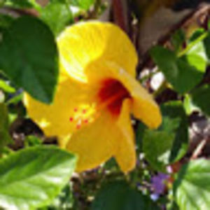 Meet your Posher, Monique